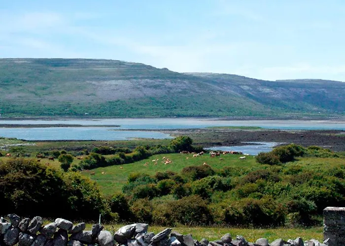 3 Bed In Oc-ii09354 *